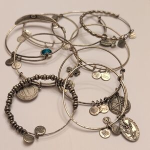 Alex and Ani Charm Bracelet Set
